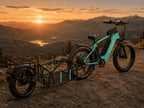 Remorque vélo monoroue bikepacking | charge 32 kg