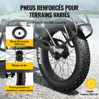 Roue de remorque de 20 pouces avec pneu gonflable double couche de 10,2 cm de large et moyeu en fer